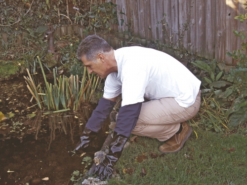 Bermuda Pond Glove