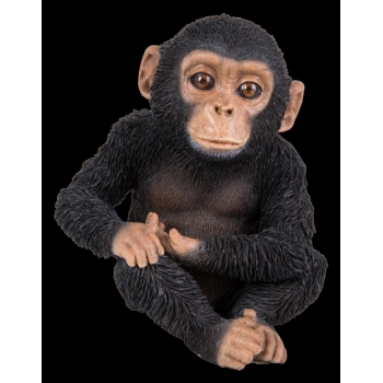 Vivid Arts Pet Pals Sitting Baby Chimp (Size F)