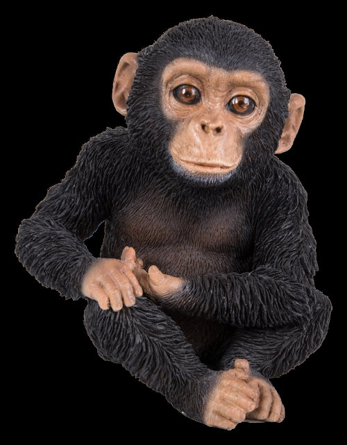 Vivid Arts Pet Pals Sitting Baby Chimp (Size F)