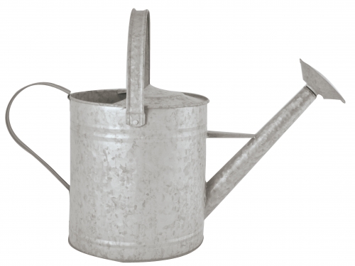 Fallen Fruits Old Zinc Watering Can (3.6Lt)