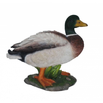 Vivid Arts Real Life Mallard Duck - Size A