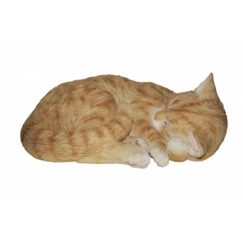 Vivid Arts Real Life Sleeping Cat Ginger - Size B