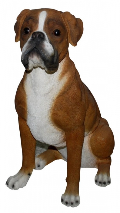 Vivid Arts Real Life Boxer - Size A