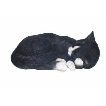 Vivid Arts Sleeping Cat Black & White - Size B