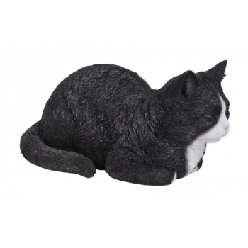 Vivid Arts Real Life Dreaming Cat Black & White - Size B