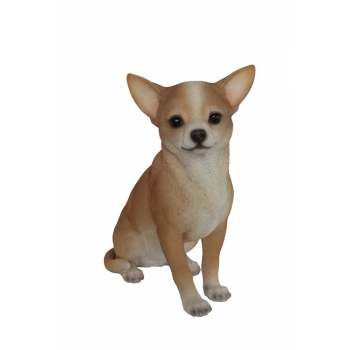 Vivid Arts Real Life Chihuahua - Size D