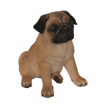 Vivid Arts Real Life Pug - Size B