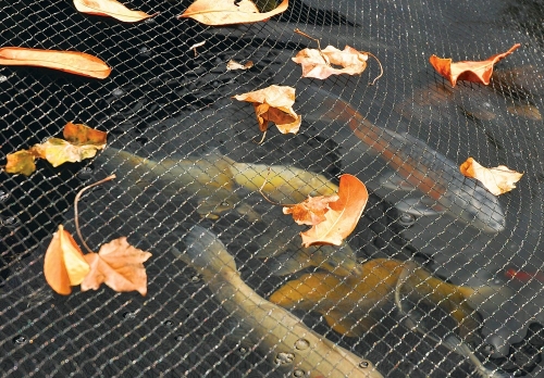 Hozelock Pond cover Net (3m x 4m)