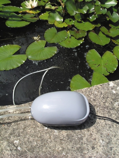 Smart Solar Oxygenator - 2 Stone (Direct solar only)