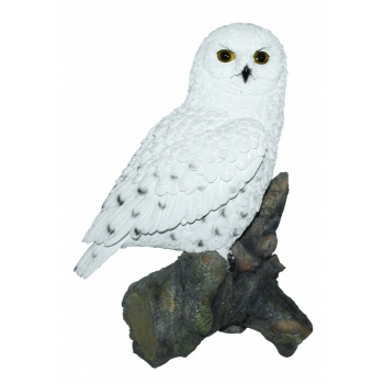 Vivid Arts Real Life Snowy Owl - Size B