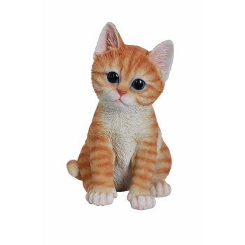 Vivid Arts Pet Pals Ginger Kitten (Size F)