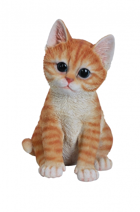 Vivid Arts Pet Pals Ginger Kitten (Size F)