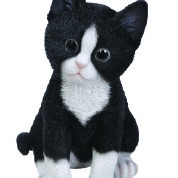 Vivid Arts Pet Pals Black/White Kitten (Size F)