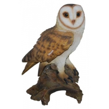 Vivid Arts Real Life Barn Owl - Size B