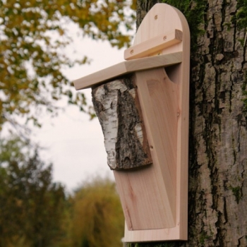 Wildlife World Tree Creeper Nest Box