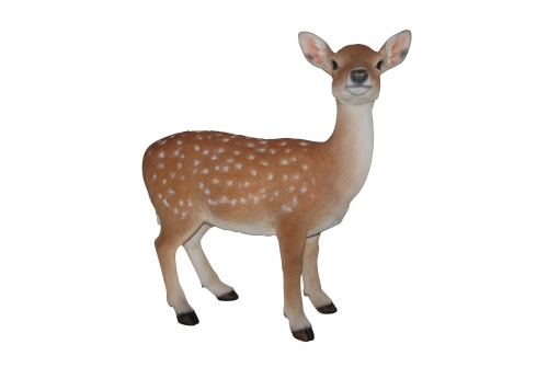 Vivid Arts Real Life Fallow Deer - Size B