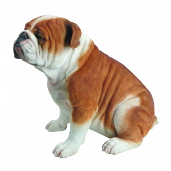 Vivid Arts Real Life Sitting Bulldog - Size A - LARGE