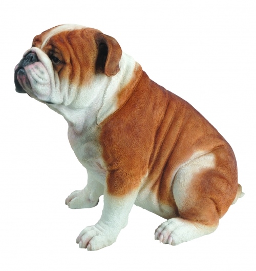 Vivid Arts Real Life Sitting Bulldog - Size A - LARGE