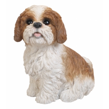 Vivid Arts Shih Tzu Brown Sitting - Size B