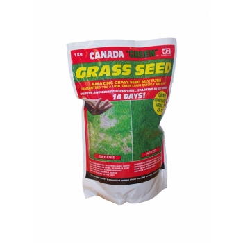 Canada Grass Seed 1KG pk