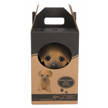 Vivid Arts Pet Pals Border Terrier Puppy (Size F)