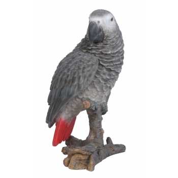 Vivid Arts Real Life African Grey Parrot - Size D