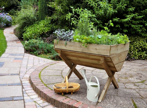 Forest Garden Kitchen Garden Trough